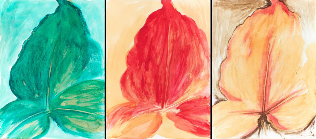 T-7© All rights reserved