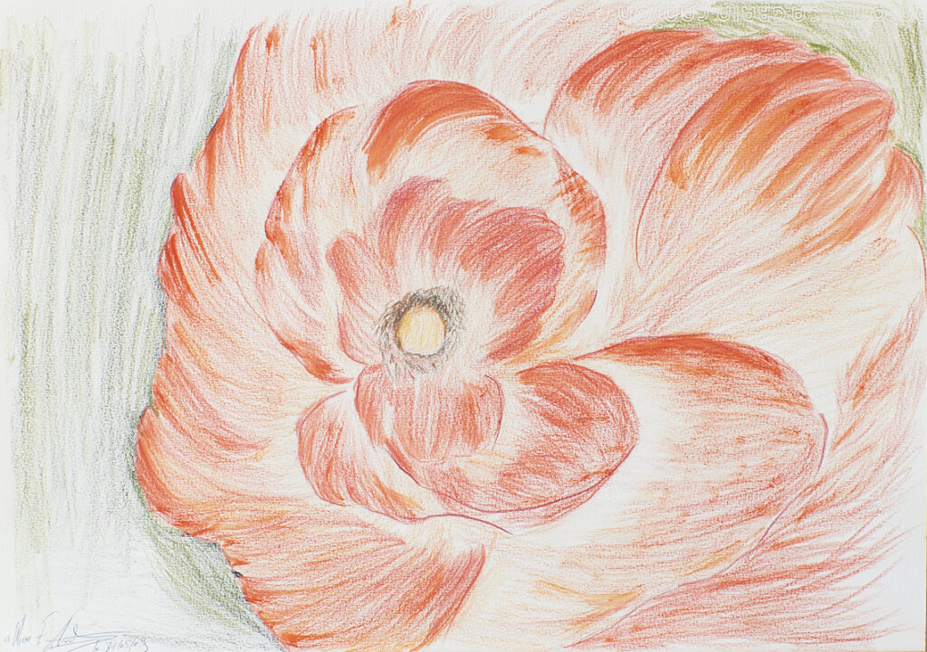 T-5© All rights reserved