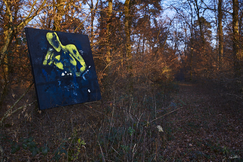 P46 Automne © All rights reserved