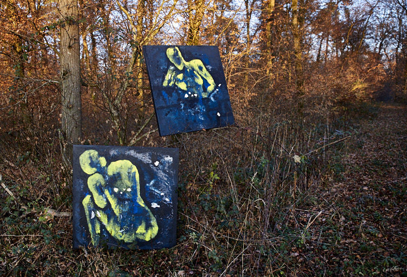 P45 Automne © All rights reserved