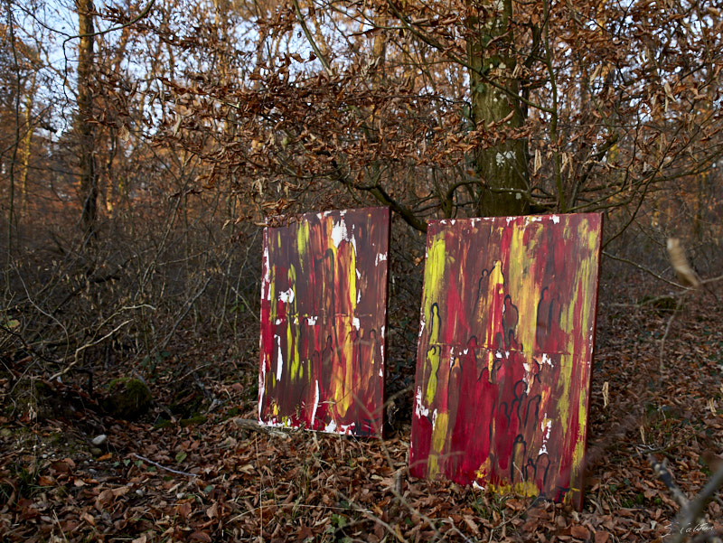 P44 Automne © All rights reserved