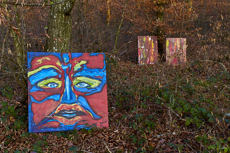 P42 Automne © All rights reserved