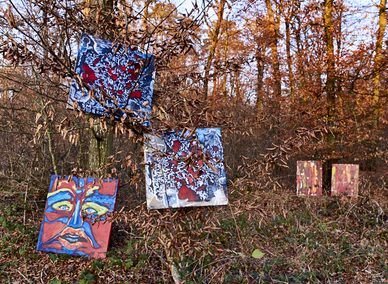 P41 Automne © All rights reserved