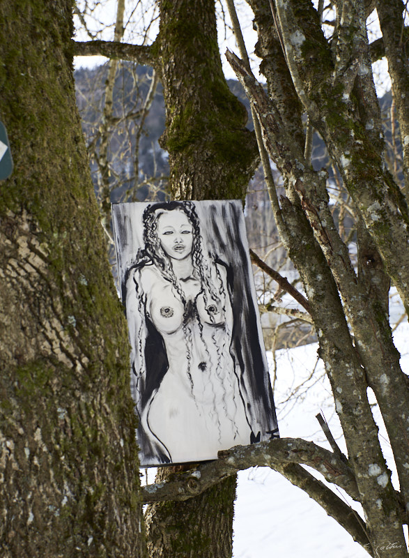 P6 Hiver © All rights reserved