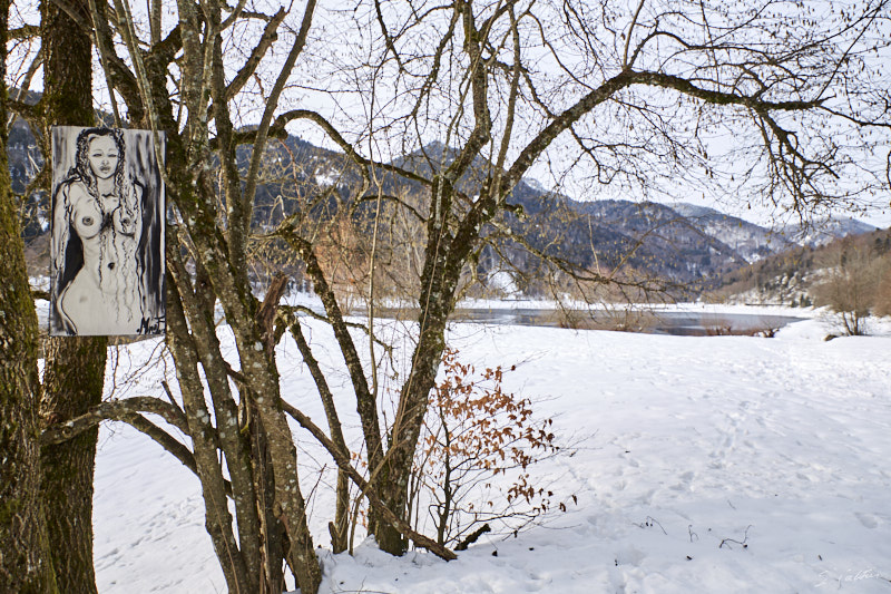 P8 Hiver © All rights reserved