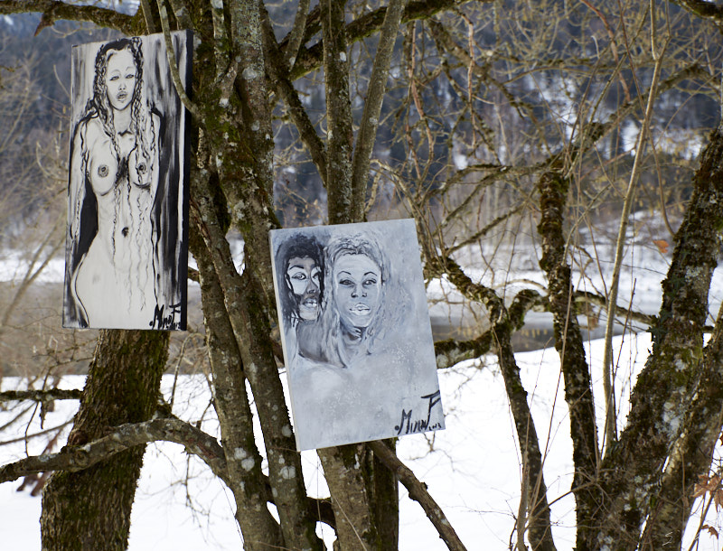 P7 Hiver © All rights reserved