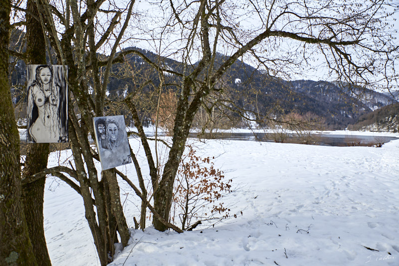 P9 Hiver © All rights reserved