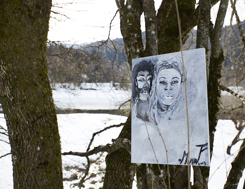 P5 Hiver © All rights reserved