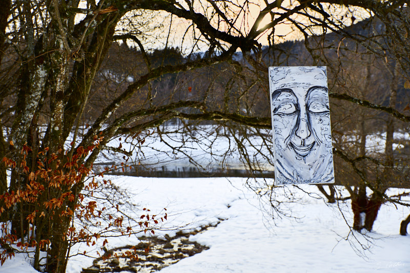 P2 Hiver © All rights reserved