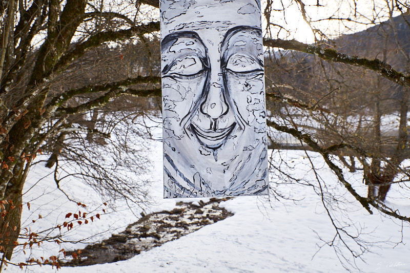 P1 Hiver © All rights reserved