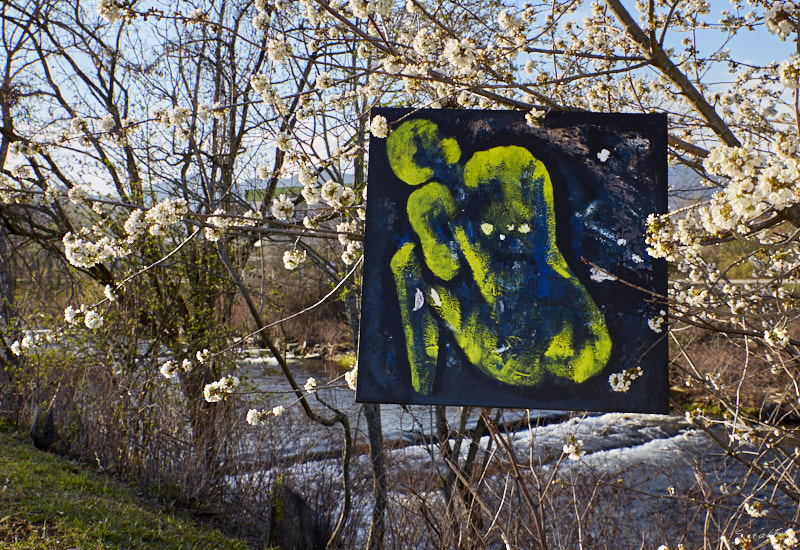 P14 Printemps © All rights reserved