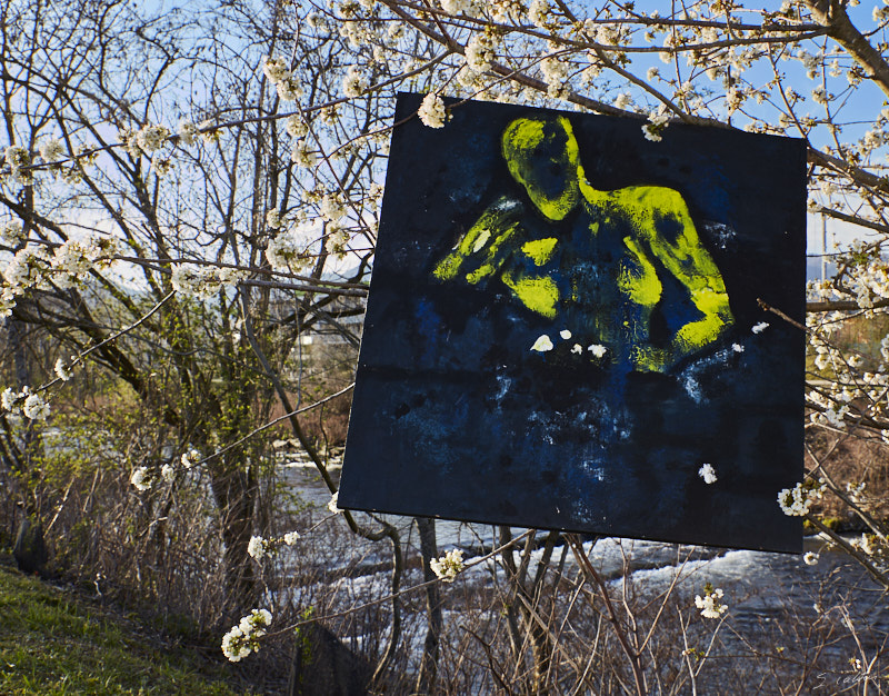 P15 Printemps © All rights reserved