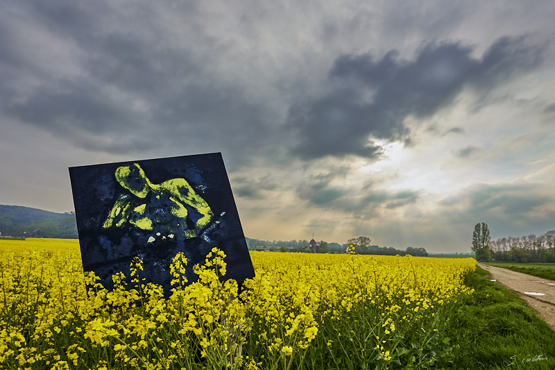 P16 Printemps © All rights reserved