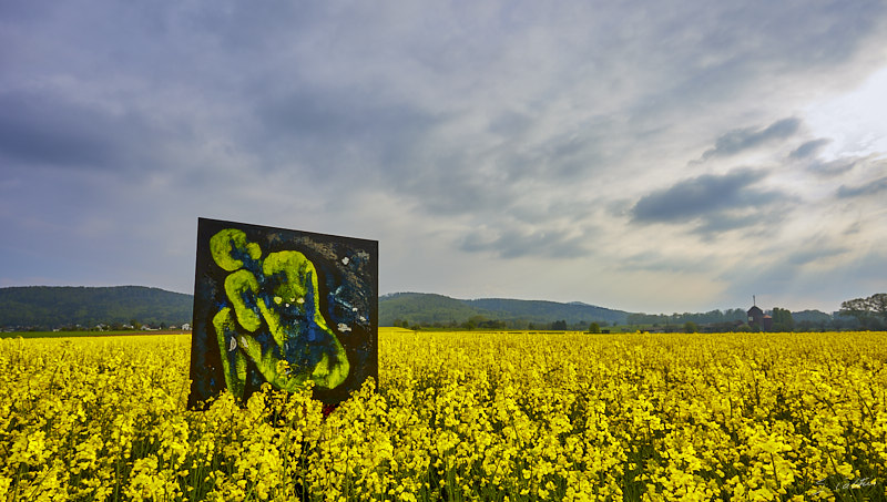 P17 Printemps © All rights reserved