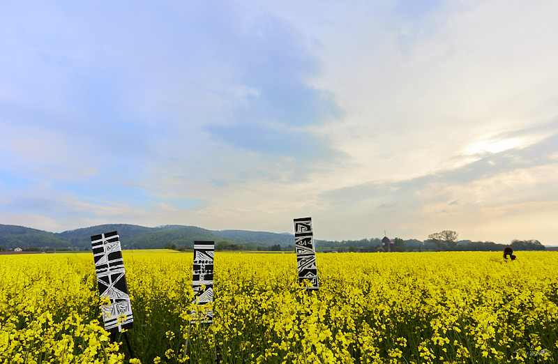 P20 Printemps © All rights reserved