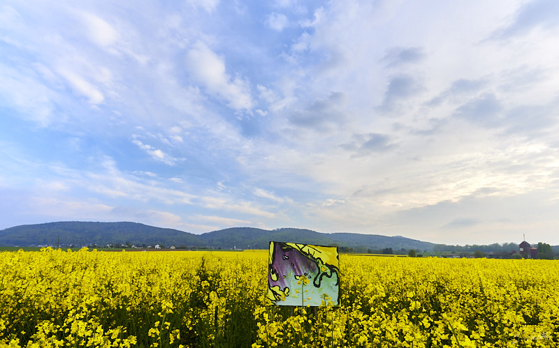 P21 Printemps © All rights reserved