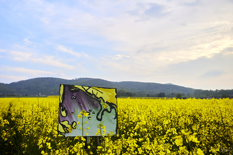 P22 Printemps © All rights reserved