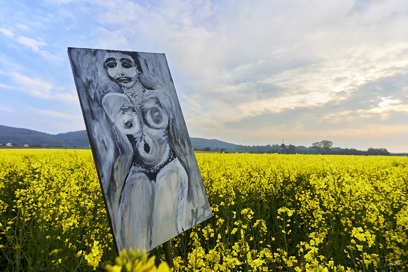 P23 Printemps © All rights reserved