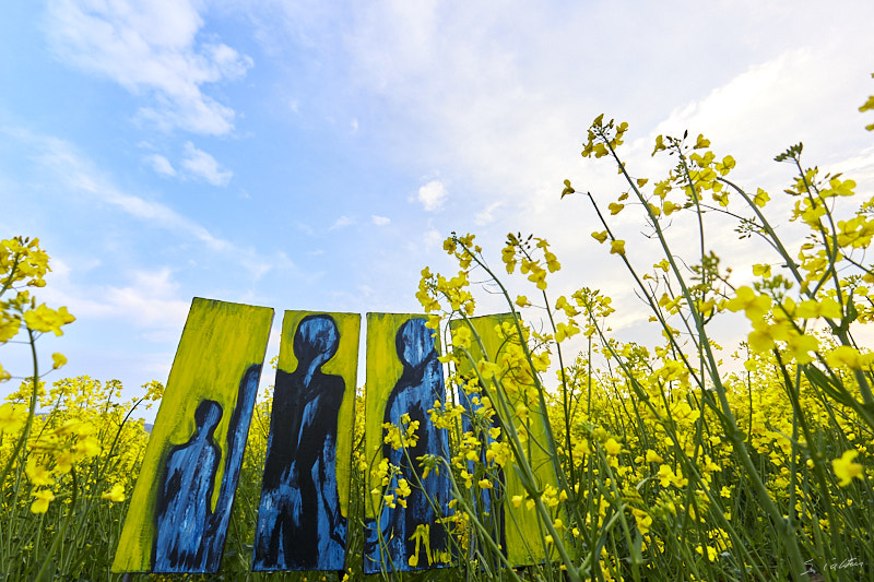 P24 Printemps © All rights reserved