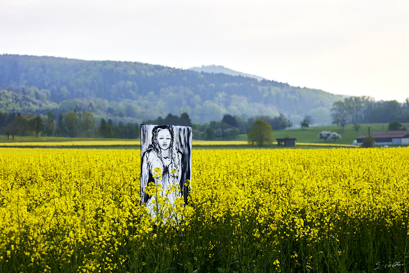 P29 Printemps © All rights reserved