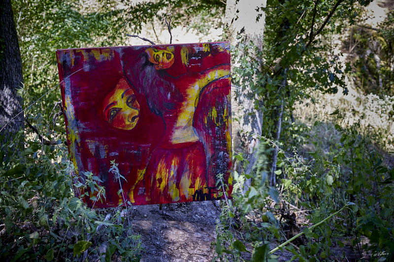 P38 Été © All rights reserved